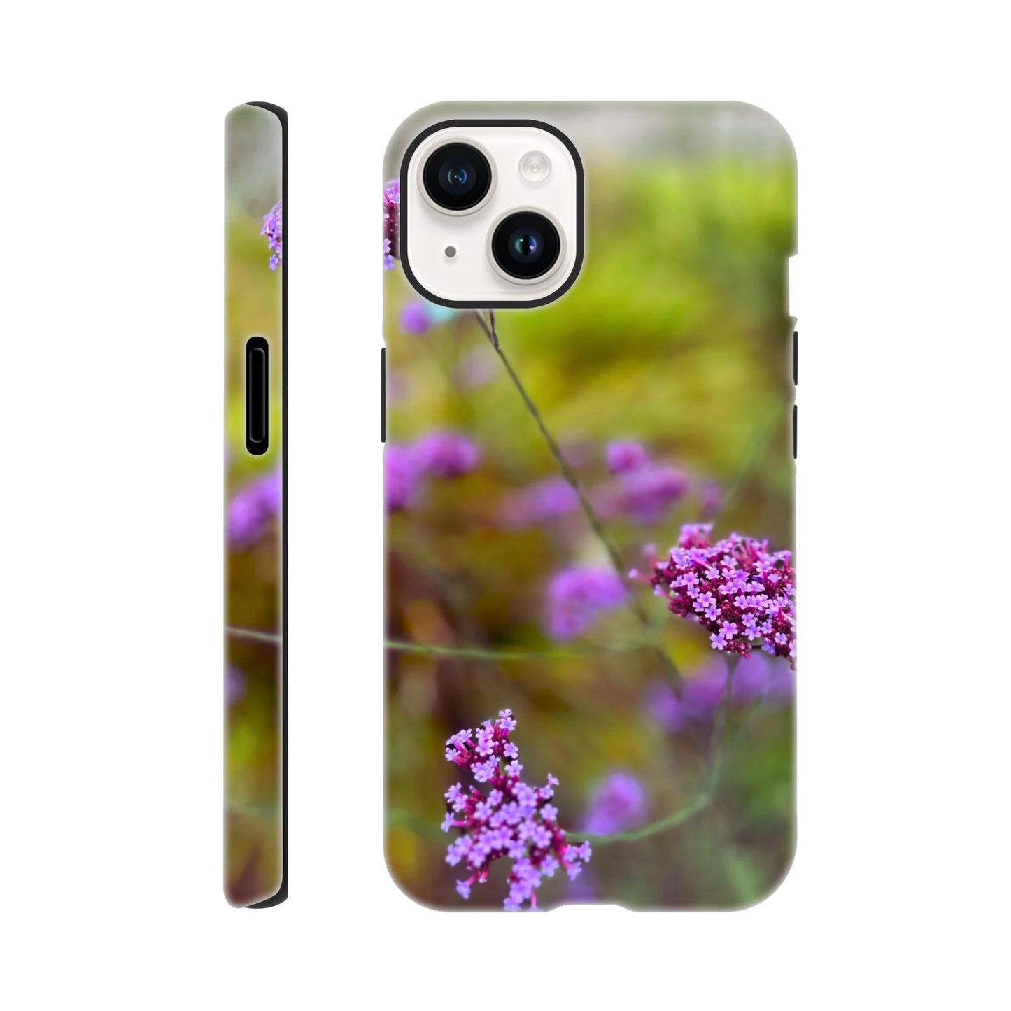 cf91f73c-93ac-4177-a1af-a0b07cecf8bd