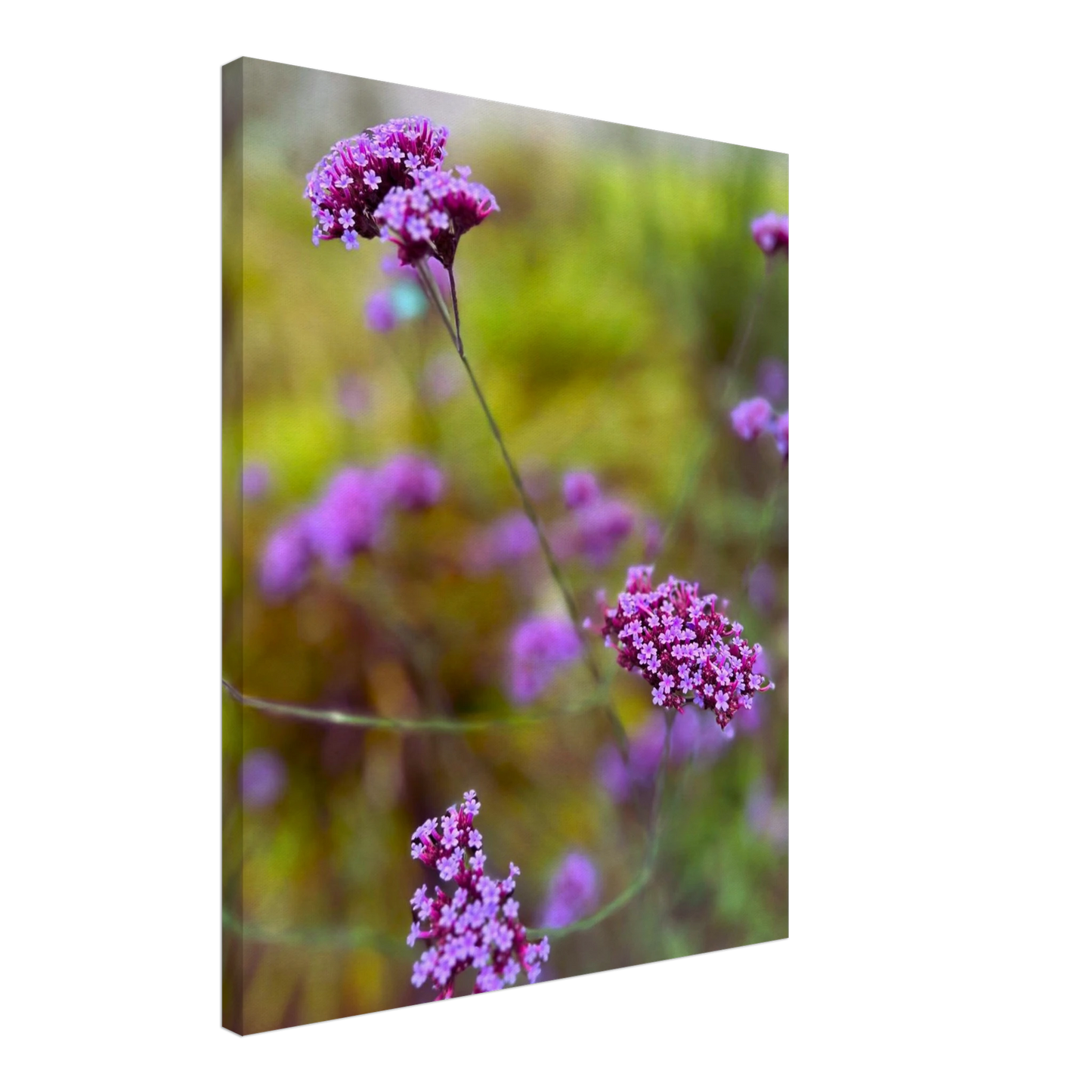 42be99c1-b808-4706-b353-64f89493a437