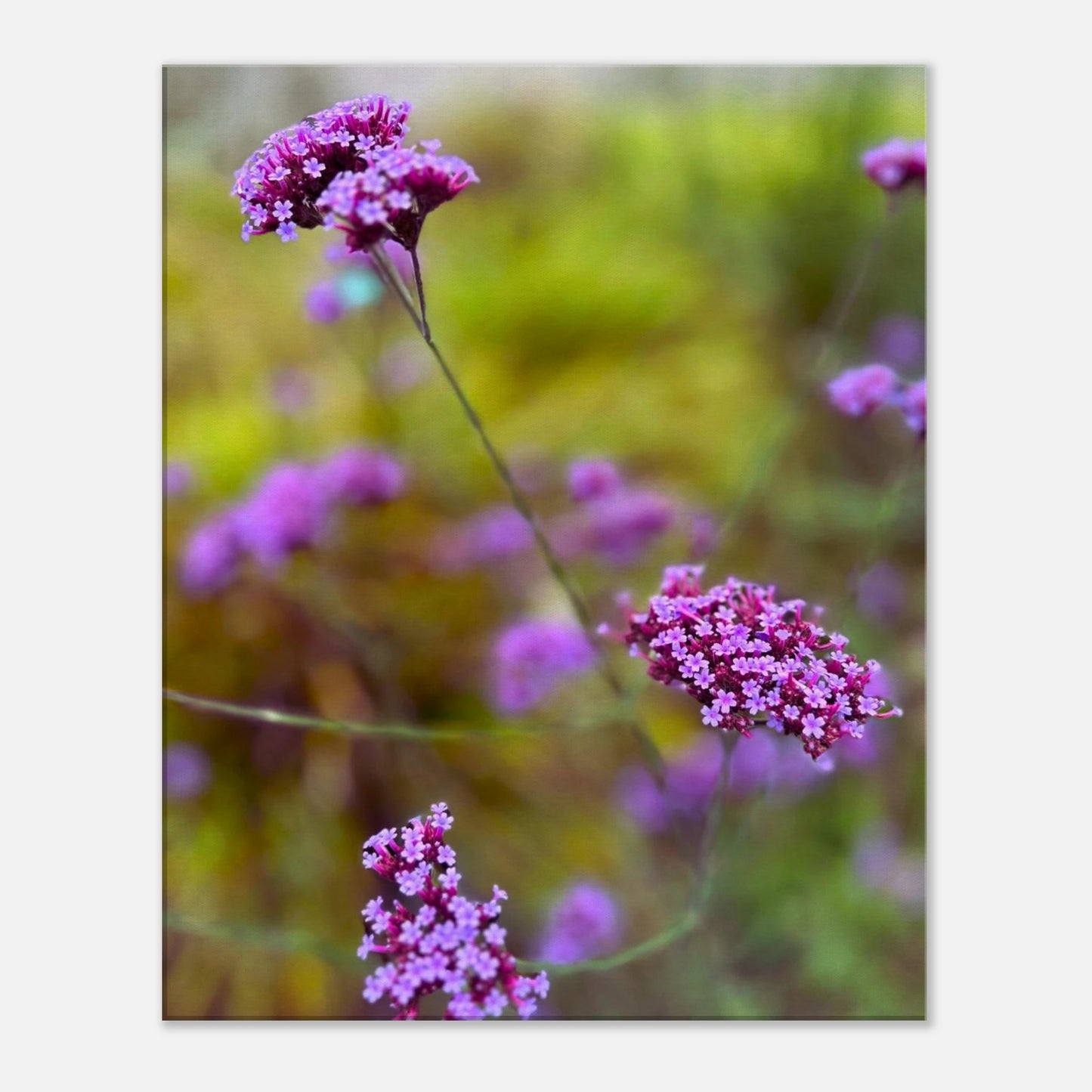 4adec8e3-31de-493c-ac10-24980efcc916