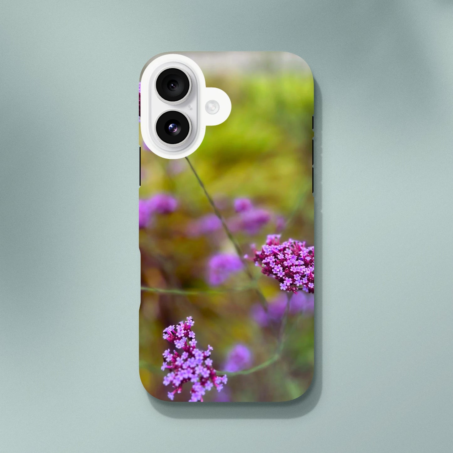 927dacfd-ec96-4ca9-bf5c-f64e8849b07f