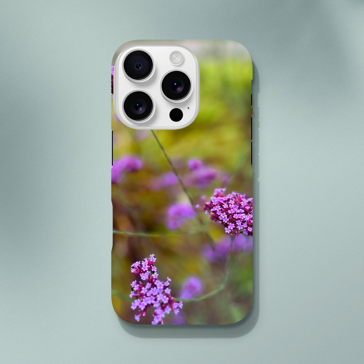 df5ce24e-d8d6-464c-b5cc-769a31e7d1cd